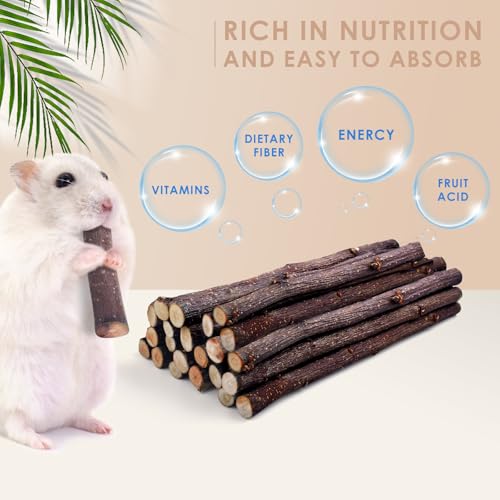 Bissap Apple Sticks for Rabbits, Natural Bunny Chew Toys and Treats for Chinchilla Guinea Pig Hamster Gerbil Small Animals Pet Apple Wood Stick Toys Teeth Grinding (120g/4.2oz) - size: 4.2 Ounce (Pack of 1)