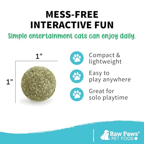Raw Paws Catnip Balls for Cats (6-Count) - Interactive Indoor Cat Toy | Natural Compressed Natural Catnip - Cat Lick Balls - Catnip Roller Balls - Play & Enrichment Toy - Fresh Dried - No Additives