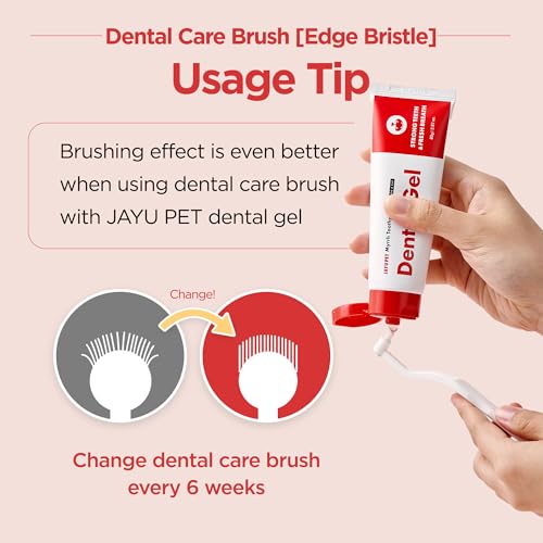 JAYU PET Dental Care Brush (Edge Bristles) 1ea - Micro Round Head Dog Toothbrush, Cat Toothbrush, Dental Care, Perfect for Kitten & Small Breed with End-tuft Diagonal-Shaped Bristle & Easy Grip Handle - color: Edge Bristles, size: 1 Count (Pack of 1)