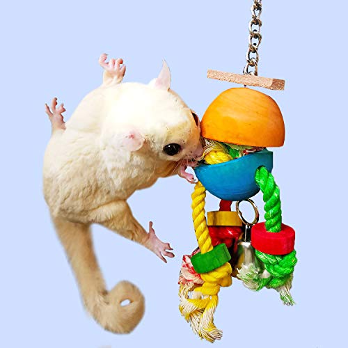 Crazy Legs- Natural Wood & Rope Dangling Interactive Treat Foraging Cage Accessory Toy - Sugar Gliders, Ferrets, Parrots, Squirrels, Marmosets, Degus, Hamsters, Rats & Other Small Pets… (1 Pack)