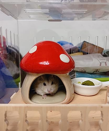 YZHZOM Ceramic Hamster Hideout - Small Animal Houses & Habitats for Mice, Gerbils, Lemmings or Other Small Pets - Accessories