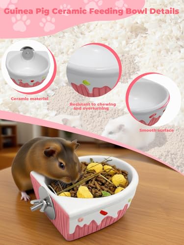Chinchilla Food Bowl Ceramic Guinea Pig Cage Feeder Hanging Bunny Food Dish Small Animal Feeding Bowls for Syrian Hamster Ferret Gerbils (Pink) - color: Pink