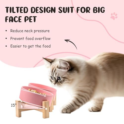 SPUNKYJUNKY 15° Slanted Ceramic Dog and Cat Bowl with Wooden Stand, Tilted Bulldog Food and Water Bowl No Slip Non-Spill for Cats Medium Dogs Big Face Pets 13.5 OZ (1.7 Cups, Pink × 2) - color: Pink, size: 1.7 CUPS × 2