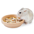 Niteangel Wooden Hamster Food Bowl: Beech Stable & No Pattern for Dwarf | Prevent Oil & Dust Small Animal Feeding Dish for Dwarf Syrian Hamsters Gerbils Mice Degus or Other Similar-Sized Small Pets - size: For Dwarf