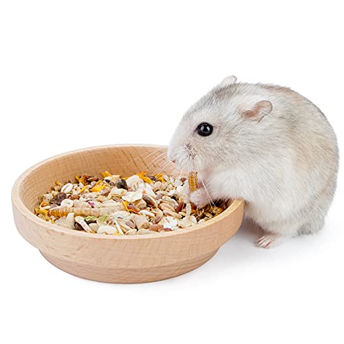Niteangel Wooden Hamster Food Bowl: Beech Stable & No Pattern for Dwarf | Prevent Oil & Dust Small Animal Feeding Dish for Dwarf Syrian Hamsters Gerbils Mice Degus or Other Similar-Sized Small Pets - size: For Dwarf