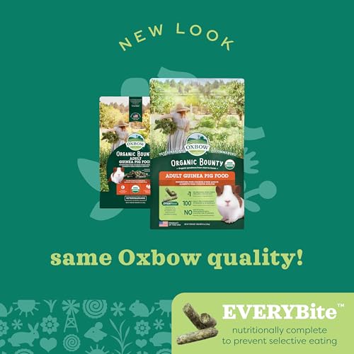 Oxbow Organic Adult Guinea Pig Food, Guinea Pig Pellets, Vitamin C, 3 lb | Organic Timothy Hay-Based Guinea Pig Pellets, Stabilized Vitamin C, Uniform Diet, Omega 3 & 6, Antioxidants, Made in USA