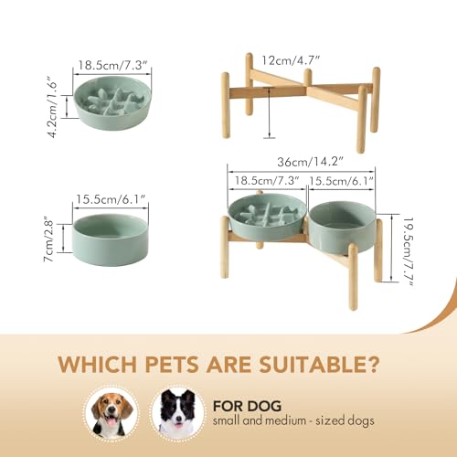 Havniva Elevated Slow Feeder Dog Bowls, Ceramic Dog Bowl Slow Feeder Set | 1.2 Cups Raised Slow Feeder Dog Bowl for Small Breed, 6.1” Dog Water Bowl with Wooden Stand, Puzzle Dog Food Bowl, Non-slip - color: Light Green
