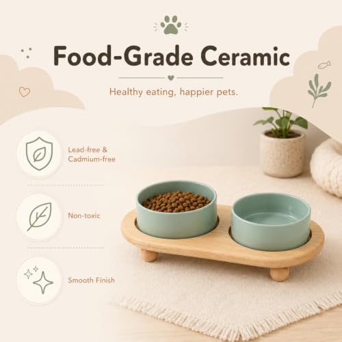 Havniva Raised Cat Bowl 5.1” Elevated Ceramic Cat Food and Water Bowl Set | Cat Bowls Elevated, Whisker Friendly Cat Bowl, Non-Slip Wood Stand, Food-Grade Ceramic, Wide Opening, Dishwasher Safe - color: 2 x Bowl + Stand - Light Green, size: 5.1inch