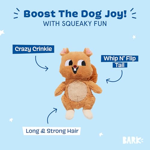 BarkBox Pearl Squirrel - color: Pearl Squirrel