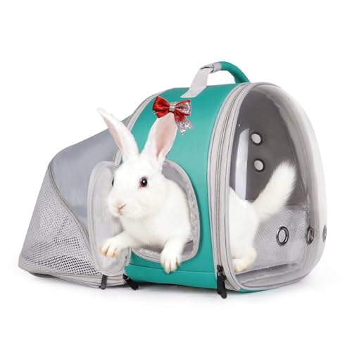 WEVONIGU Expandable Small Animal Backpack Carrier with Clear Bubble Window Large Space Travel Cage for Hedgehog Rat Parrot,Bearded Dragon,Sugar Glider,Airline Approved (Green, BE Backpack) - color: Green, size: BE Backpack