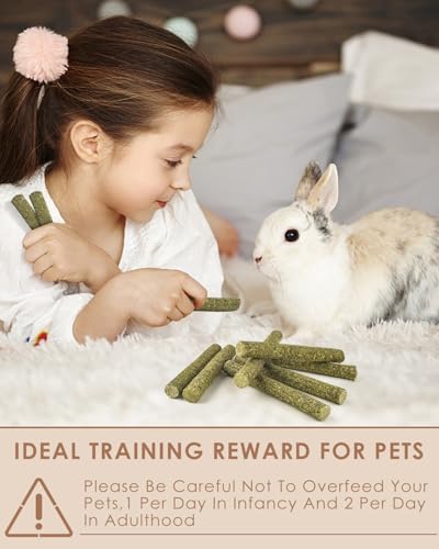 Bissap 22PCS Rabbit Chew Sticks, Mixed Natural Timothy Hay Flower Rose Dahlberg Daisy and Forget-me-not Chew Toys Treats for Bunny Chinchilla Guinea Pig Hamster and Other Small Pets Molar Snacks - size: 8.4 Ounce (Pack of 1)