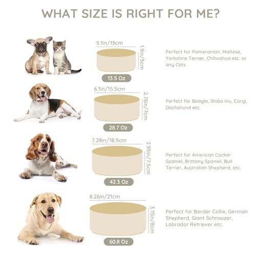 SPUNKYJUNKY 13.5OZ Ceramic Dog and Cat Bowl, Modern Cute Weighted Food Water Bowl for Replacement Beige (2 Pack) - color: Beige, size: 1.7 CUPS × 2