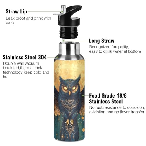 Owl Moon Moth Moon Water Bottle Kids Stainless Steel Water Bottle with Straw Lid, Leak Proof Boys Girls Insulated Tumbler Cup for School 20 oz - color: Multi21