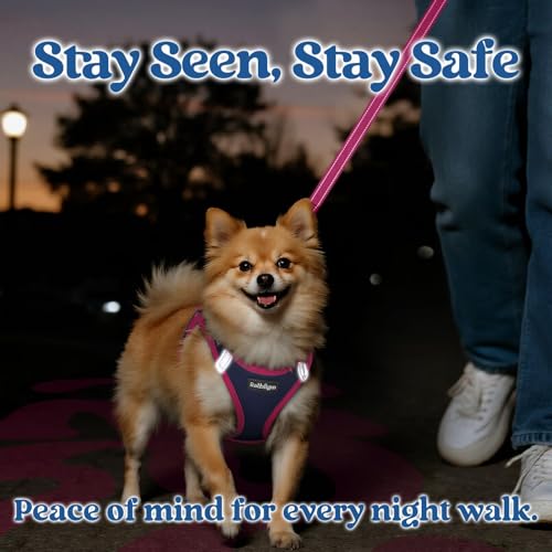 rabbitgoo Dog Harness Small Sized and Leash Set, Step in Soft Vest | Breathable Mesh, Easy Wear with Hook & Loop, Light and Reflective for Walking, Multi-colored, Navy Blue & Rose Red, XXS - color: Navy Blue & Rose Red, size: XXS (Chest: 12.4"-14.2")