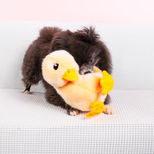KONG Toughz Durable Plush Dog Toy - Long-Lasting Soft Chew Toy for Aggressive Chewers, Safe & Interactive for Dogs (Duck) - style: Duck