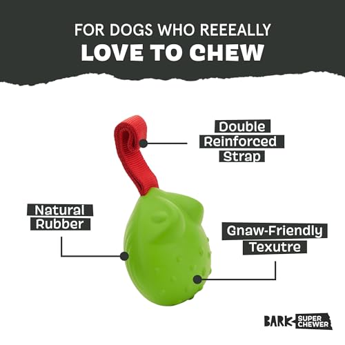 BarkBox Tug Tied Toad Dog Toy | for Tough Chewers - Durable Rubber Design, Perfect for Tug-of-War - color: Tug Tied Toad-Large