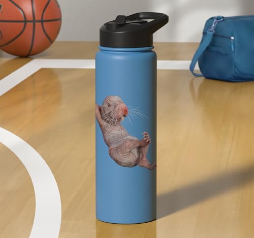 I Just Really Like Naked Moles Ok? Funny Naked Mole Rat Stainless Steel Insulated Water Bottle - color: Light Blue