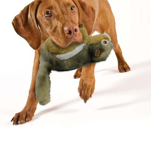 ALL FOR PAWS Dog Squeaky Toys Stuffed Animal Chipmunk Pet Plush Toys Squeak Chew Toy for Dogs Large