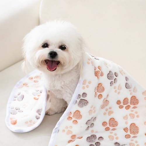 12 Pcs Small Dog Blanket Fleece Puppy Blankets Washable Pet Blankets for Cats Soft Flannel Paw Printed Throw for Guinea Pig Indoor Kittens Doggie (23 X 16 Inch, White, Dark Gray, Pink, Camel) - color: Gray, White, Camel, Pink