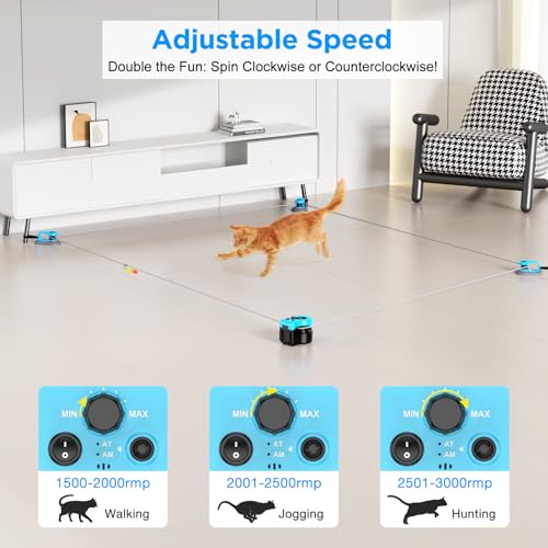 Interactive Cat Toy for Indoor Cats, Auto/Remote Control DIY Cat Mouse Hunting Treadmill Keep Bored Kitten Puppy Entertained to Chase, Feather Toy to Exercise-Sky Blue - color: Sky Blue