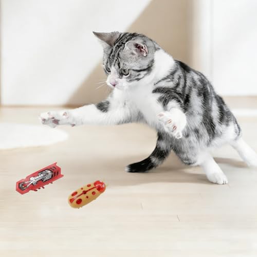 XCZAP Cat Electric Toy Bug – Automatic Rolling Interactive Cat Toy (2-Pack)(LS-Red Yellow) - color: LS-Red Green