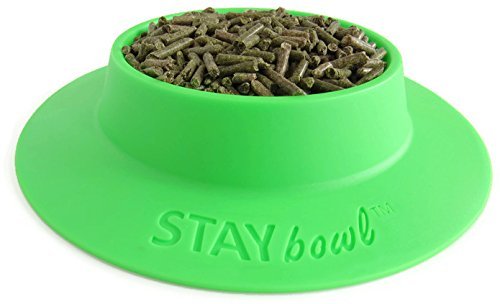 Tip-Proof Bowl for Guinea Pigs and Other Small Pets - Spring Green - Large 3/4 Cup Size New (Pack of 2) - size: Large (Pack of 2)