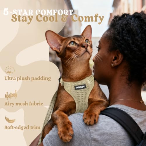 rabbitgoo Cat Harness and Leash Set, Easy-on with Neck Buckle, Cream Coffee | Escape Proof, No Over-the-head, Soft Air Mesh, 3 Lockable Adjusters & Buckles, Reflective, for Kittens & Small Cats Walks, Xs - color: Cream coffee, size: Xs