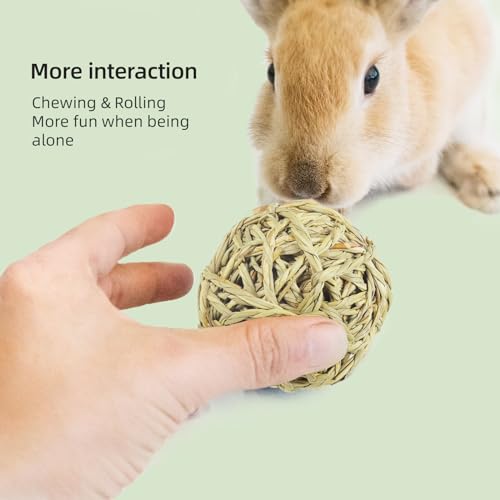 andwe Small Animals Play Balls Rolling Chew Toys & Gnawing Treats for Rabbits Guinea Pigs Chinchilla Bunny Degus - Pet Cage Entertainment Accessories (Pack of 9) - size: Pack of 9