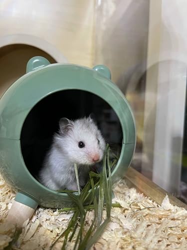 TUTU&LELE Hamster Hideout Space Elf Nest, Tiny House Bed with Round Plush Pad for Hamsters, Mice, Gerbils to Sleep & Play (Green) - color: Green