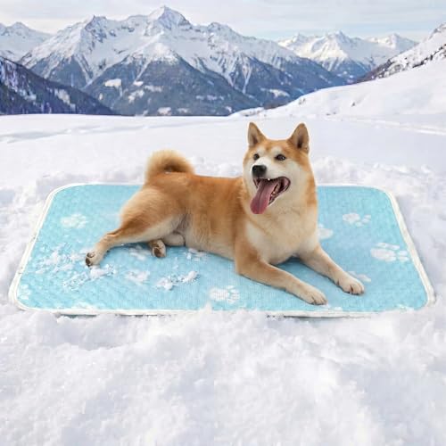 Cooling Mat for Large Dog, Waterpoof Q-Max>0.5 Breathable Cold Crate Pad for Puppy Cat, Washable Kennel Bed for Active Pet with Chill Soothing Fabric to Rapid Cooling, 39.3×27.5, Blue - color: Sky Blue, size: 39.3"×27.5"
