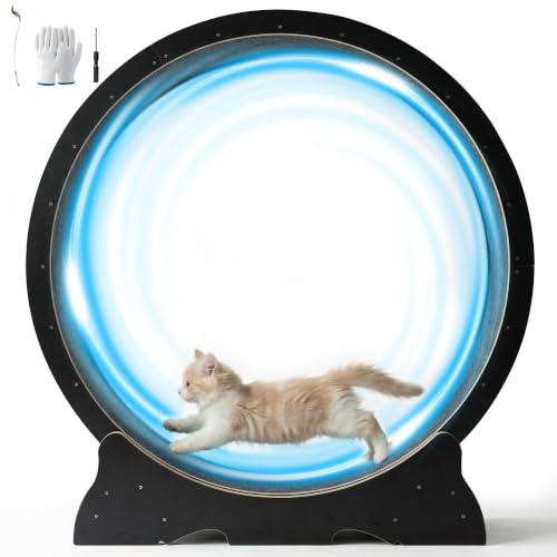 Cat Wheel for Indoor Cats, 48 Inch Diameter Exercise Running Wheel | Enhanced Base, Safety Lock, Quiet, For Cat's Longer Life Fitness, Wide Surface, Low-Entry Design, Easy Assembly, Natural Wood - color: Black