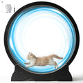 Cat Wheel for Indoor Cats, 48 Inch Diameter Exercise Running Wheel | Enhanced Base, Safety Lock, Quiet, For Cat's Longer Life Fitness, Wide Surface, Low-Entry Design, Easy Assembly, Natural Wood - color: Black