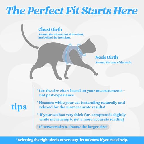 rabbitgoo Cat Harness and Leash Set, Step-in Soft Vest, Light Blue | Escape Proof, Lightweight, Easy-on & Adjustable, Hook & Loop with Buckle, Reflective, for Kittens & Small Cats Walks, S - color: Light Blue, size: S