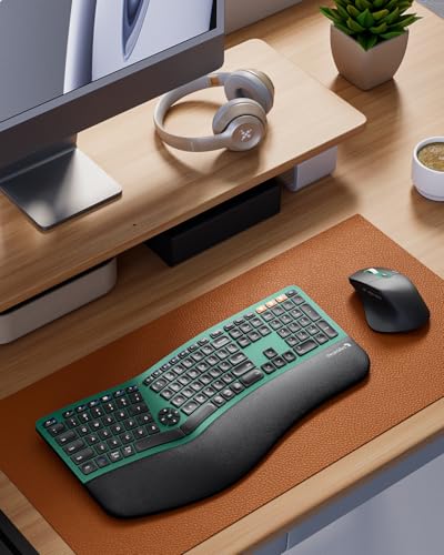 ProtoArc EKM01 Plus Wireless Ergonomic Keyboard Mouse Combo - Green | Full-size Split Keyboard with Cushioned Wrist Rest, Ergonomic Mouse, 3-Device Bluetooth/2.4G, USB-C Rechargeable - color: Green