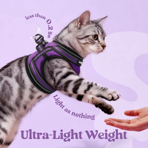 rabbitgoo Cat Harness and Leash Set, Step-in Soft Vest, Purple | Escape Proof, Lightweight, Easy-on & Adjustable, Hook & Loop with Buckle, Reflective, for Kittens & Small Cats Walks, S - color: Purple, size: S