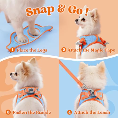 rabbitgoo Dog Harness Small Sized and Leash Set, Step in Soft Vest | Breathable Mesh, Easy Wear with Hook & Loop, Light and Reflective for Walking, Multi-colored, Blue & Orange, XXS - color: Blue & Orange, size: XXS (Chest: 12.4"-14.2")