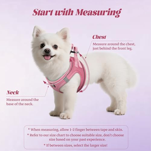No Pull Dog Puppy Harness and Leash Set Reflective Mesh Vest X-Small - color: Pink, size: X-Small (Pack of 1)