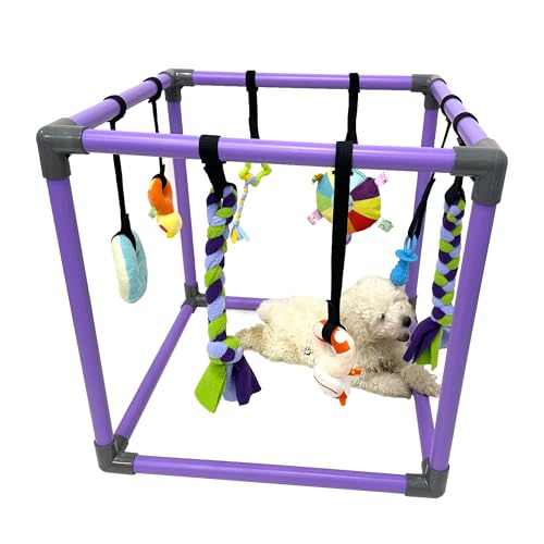 Puppy Play Gym for small dogs with 8 Hanging Interactive Toys Indoor Play | Funny Enrichment Jungle Playground to Keep Them Busy，with Bungee Straps for self-play,19.5*19.5*19.5in