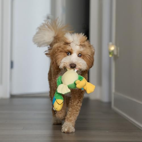SPOT Chirpies Plush Dog Toy – Bird Sound Squeaky Toy for Small and Medium Dogs, Light to Moderate Chewers, Stretchy Bungee Neck, Recycled Stuffing – 14 in, Assorted Styles