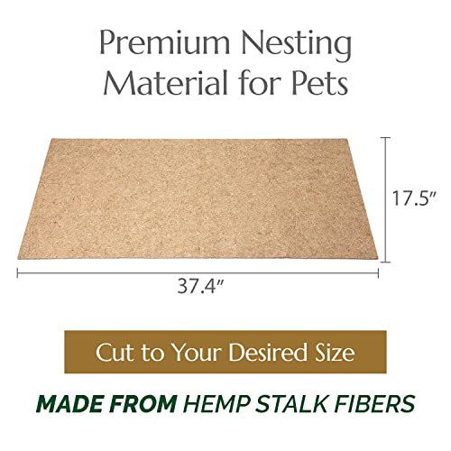 ChanvraPet All Purpose Hemp Small Animal Mat, Natural Hemp Pad, Highly Absorbent Reptile, Rabbit, Hamster & Small Guinea Pig Cage Mat, Hen & Chicken Nesting Pads, 2 Pack, Large - size: Large