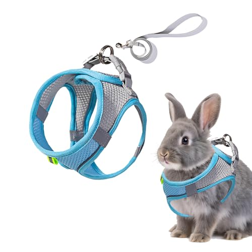 Rabbit Harness and Leash Set Escape Proof, Adjustable Soft Padded Vest, Breathable Mesh Bunny Harness with Reflective Strap, Safe for Small Animals(Blue,M) - color: Blue, size: M