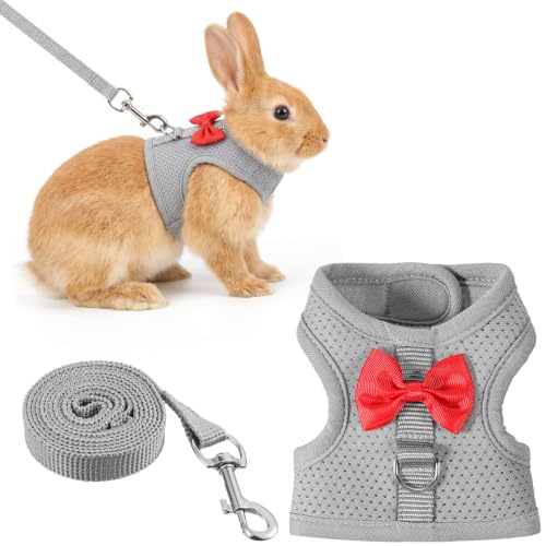 Bunny Leash and Harness Set, Rabbit Harness Vest, M Size | Bunny Harnesses, Adjustable Straps Design, Soft Mesh Harnesses for Puppies, Kitten, Guinea Pigs, Grey - size: M