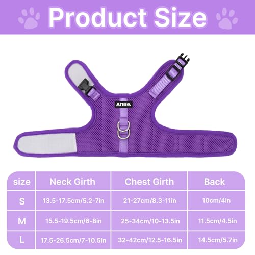 Breathable Escape Proof Rabbit Harness and Leash Set, Purple L | Lightweight & Portable, Padded Vest with Magic Tape Design, Indoor/Outdoor Use (Training, Hiking) - Fits Hamsters, Cats - color: Purple, size: L