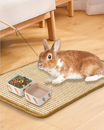 JanYoo 2 Pieces Bunny Scratch Pads, Sisal Rabbit Scratching Pad Bunny Scratcher Mat Guinea Pig Resting Mats for Cages, Small Animal Claws and Teeth Care Bedding Accessories(15.7x11.8in, Beige) - color: 3-Beige
