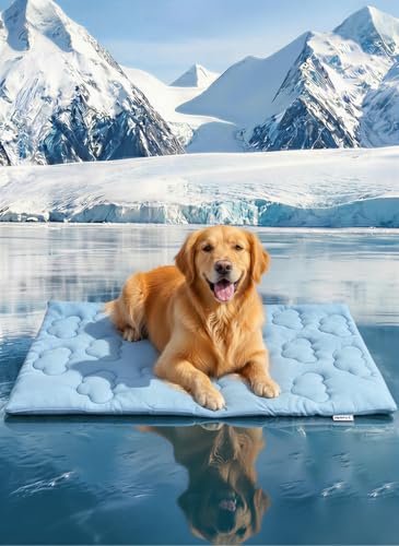 Huafly Dog Cooling Mat,Dual-Sided Cooling Mat for Dogs–Cooling Fabric for Summer,Velvet for All Seasons–Portable for Crate,Car Seat,Sofa&Floor,Machine Washable,Keeps Cats,Dogs&Puppies Cool,Cloud Blue - size: XL: 60.0" L x 40.0" W x 0.8"Th