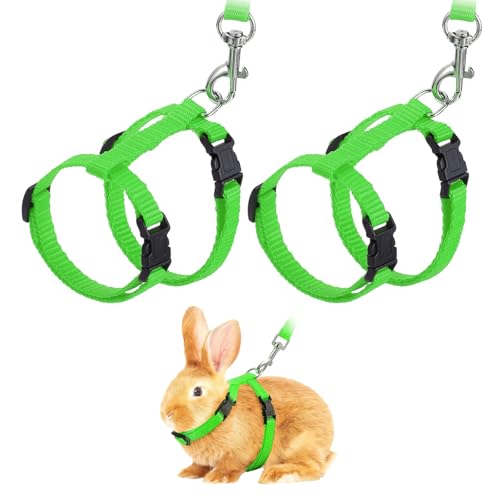 Rabbit Harness and Leash, Escape Proof Bunny Cat Leash Small Animal Harness Soft Adjustable Buckle(2Pcs, Grass Green) for Bunny Kitten Cats Puppies Walking Hiking Training - color: Grass Green