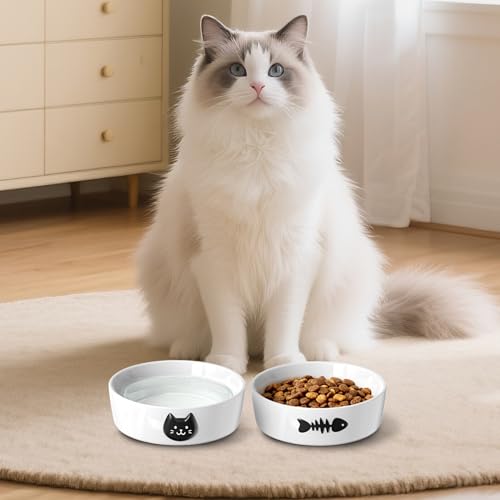 Ceramic Cat Bowls Set, 5.3''×1.5'', with Anti-Slip Rings, 1 Cup Capacity