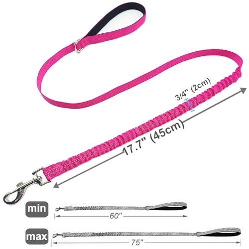 5FT Bungee Dog Leash Shock Absorbing Reflective Nylon Lead 2cm Wide | Soft Handle- Lightweight- Anti-Pull Training for Small/ Medium Dogs- 6 Colors (Pink) - color: Pink