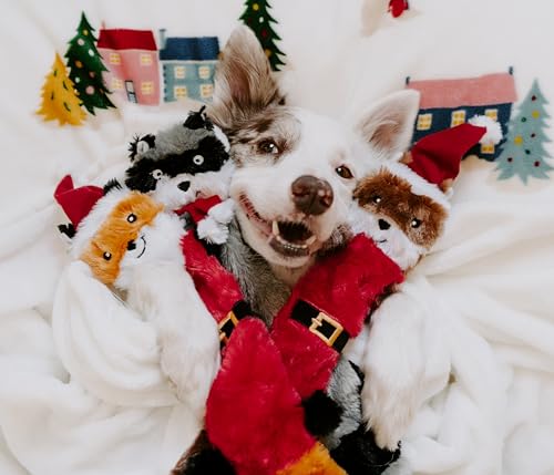 ZippyPaws Skinny Peltz for Medium and Large Dogs - Holiday 3-Pack | No Stuffing Dog Toys to Keep Them Busy, Squeaky Unstuffed Chew Toy for Pets, Soft Plush Variety Pack, Fox, Raccoon & Squirrel - style: Santa Fox, Raccoon, and Elf Squirrel - Large (3-pack