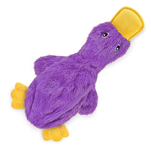 Best Pet Supplies Interactive Squeaky Dog Chew Toy, Ideal Dog Toys for Chewers, Small, Medium & Large Dogs, and Fetch Lovers - Crinkle Duck (Yellow, Purple & Turquoise), Large - color: Crinkle Duck (Yellow, Purple & Turquoise), size: Large